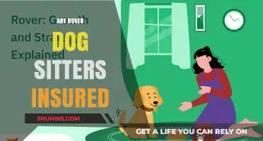 Rover Dog Sitters: Are They Insured?