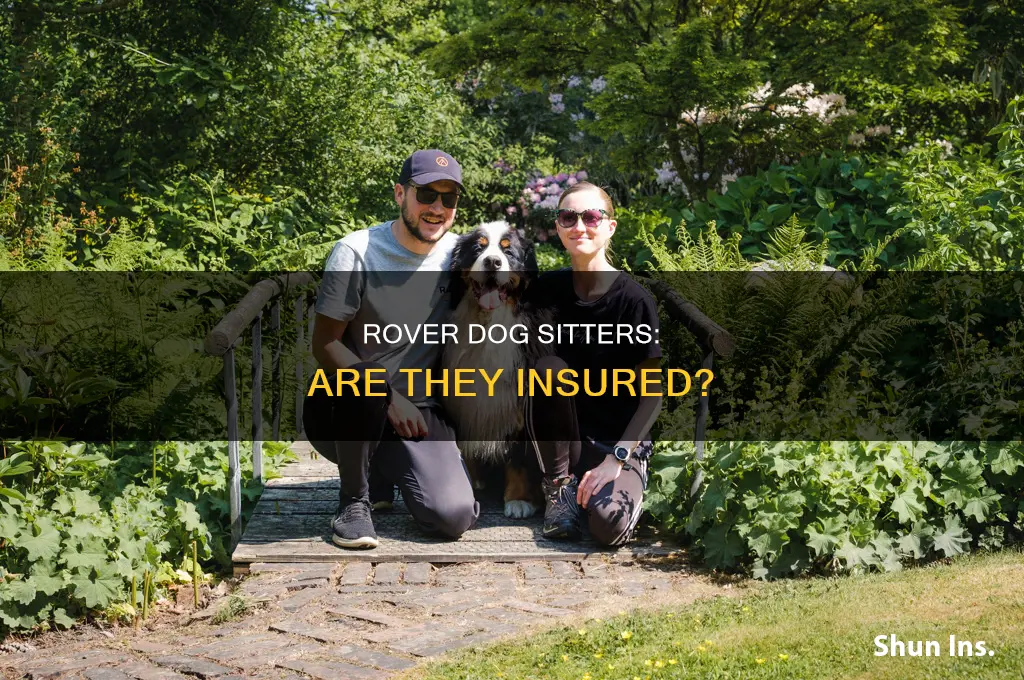 are rover dog sitters insured