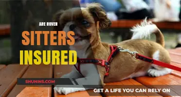 Are Rover Sitters Insured? Understanding Pet Care Liability Coverage