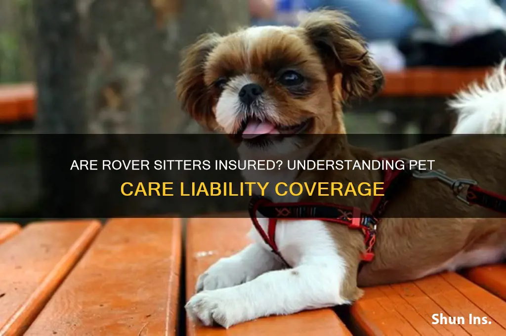 are rover sitters insured