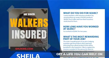 Rover Walkers: Are They Covered by Insurance?