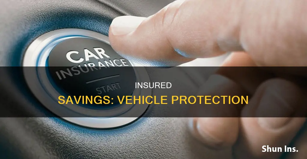 are saving vehicles insured everfi