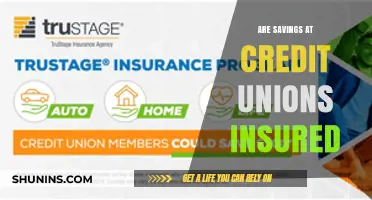 Credit Union Savings: Are They Insured?