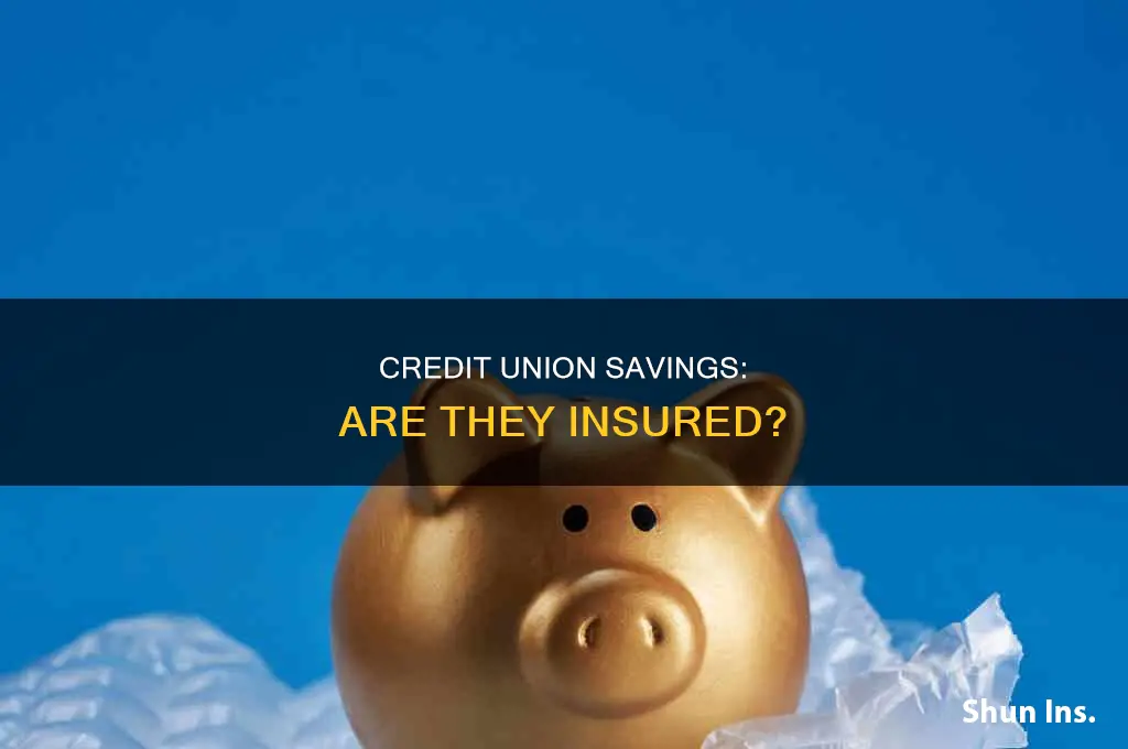 are savings at credit unions insured