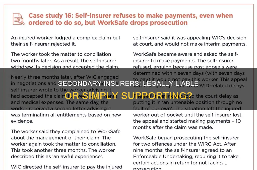 are secondary insurer