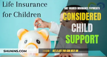 Insurance Payments: Child Support or Not?