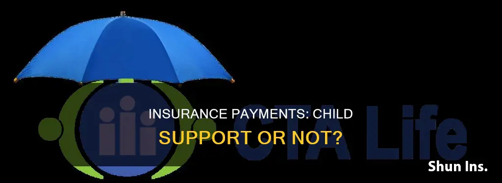 are shared insurance payments considered child support