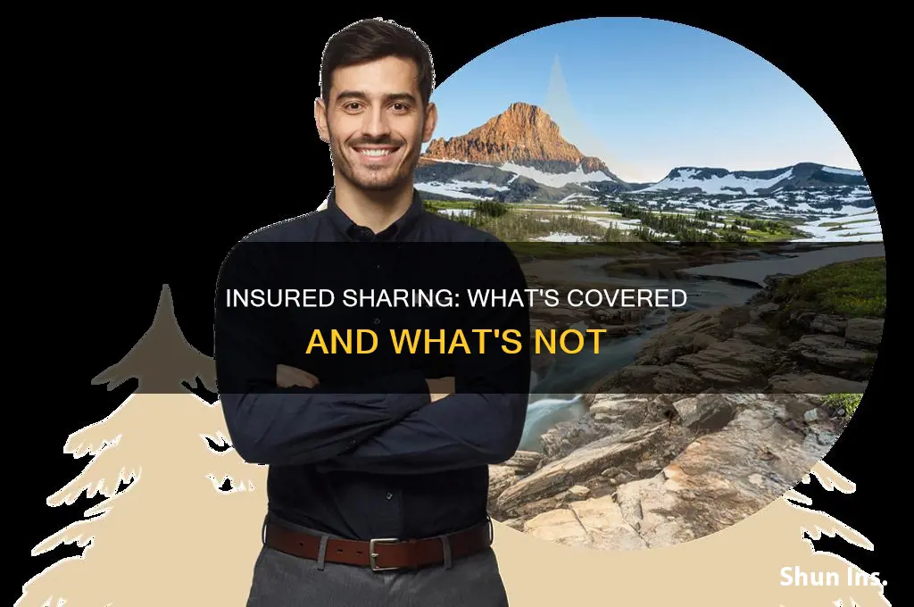 are shared insured