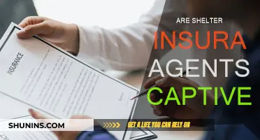 The Captive Nature of Shelter Insurance Agents