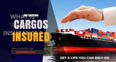 Shipping Cargo Insurance: What You Need to Know