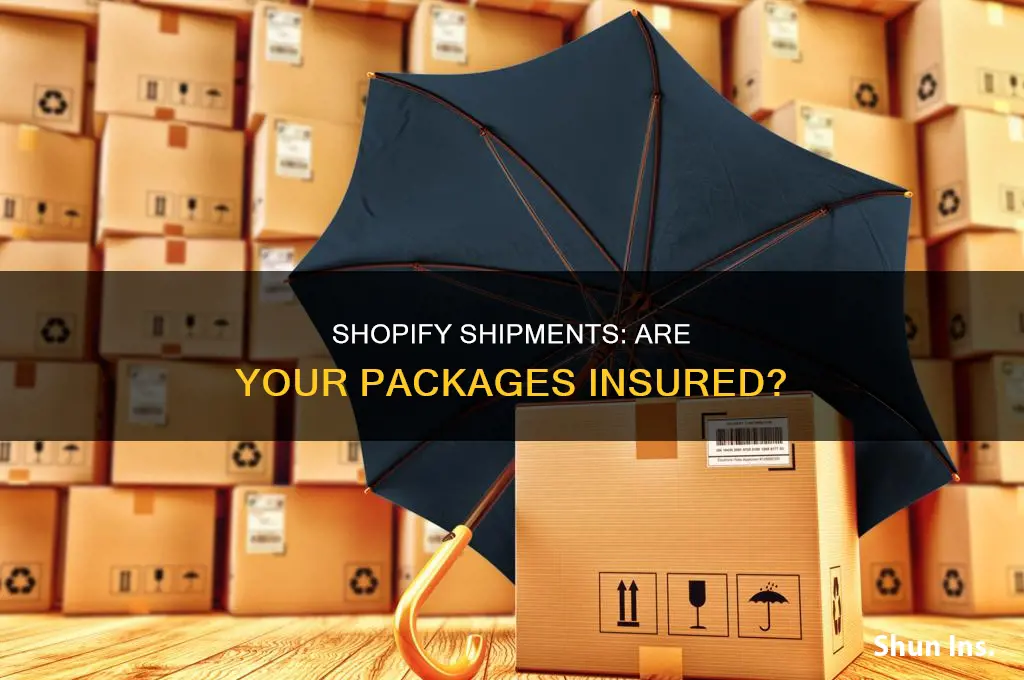 are shopify shipmnets insured