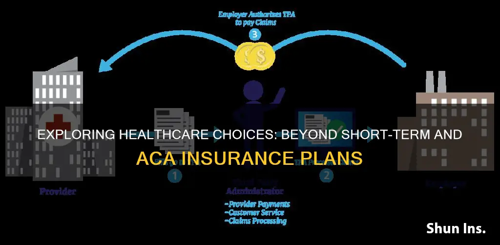 are short term and aca insurance my only options