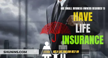 Life Insurance: A Must-Have for Small Business Owners?