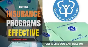Evaluating Social Insurance Programs: Effectiveness, Impact, and Public Welfare