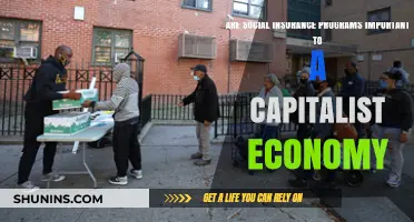 Social Insurance: Capitalist Economy's Safety Net?