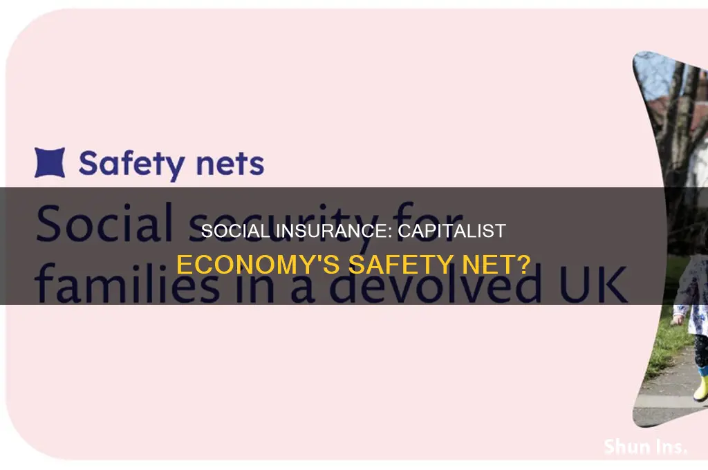 are social insurance programs important to a capitalist economy