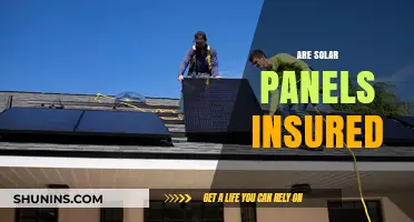 Solar Panels and Insurance: What You Need to Know