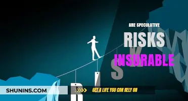 Speculative Risks: Insurable or Not?