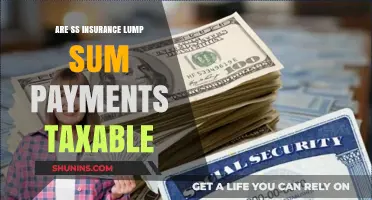 SS Insurance Lump Sum Payments: Taxable or Not?