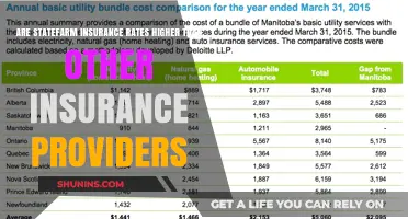 Statefarm Insurance Rates: Are They Overpriced?