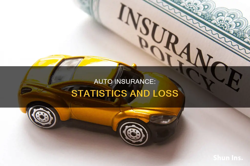 are statistics subject to loss in auto insurance