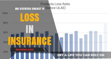 Insurance Statistics: Loss and Data Sensitivity
