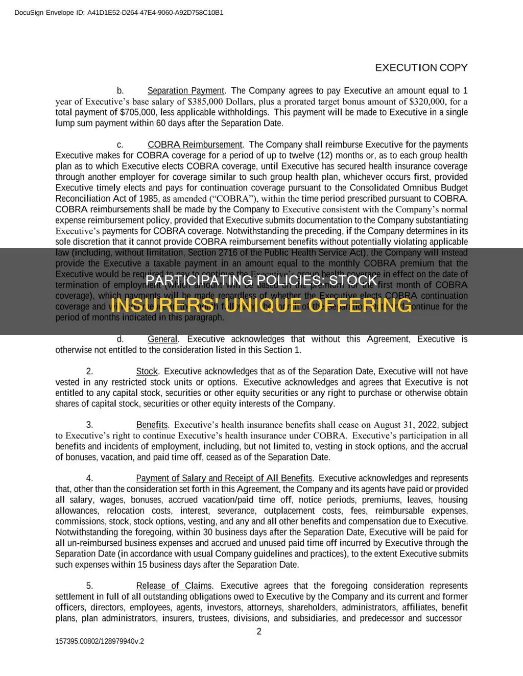 are stock insurers called participating