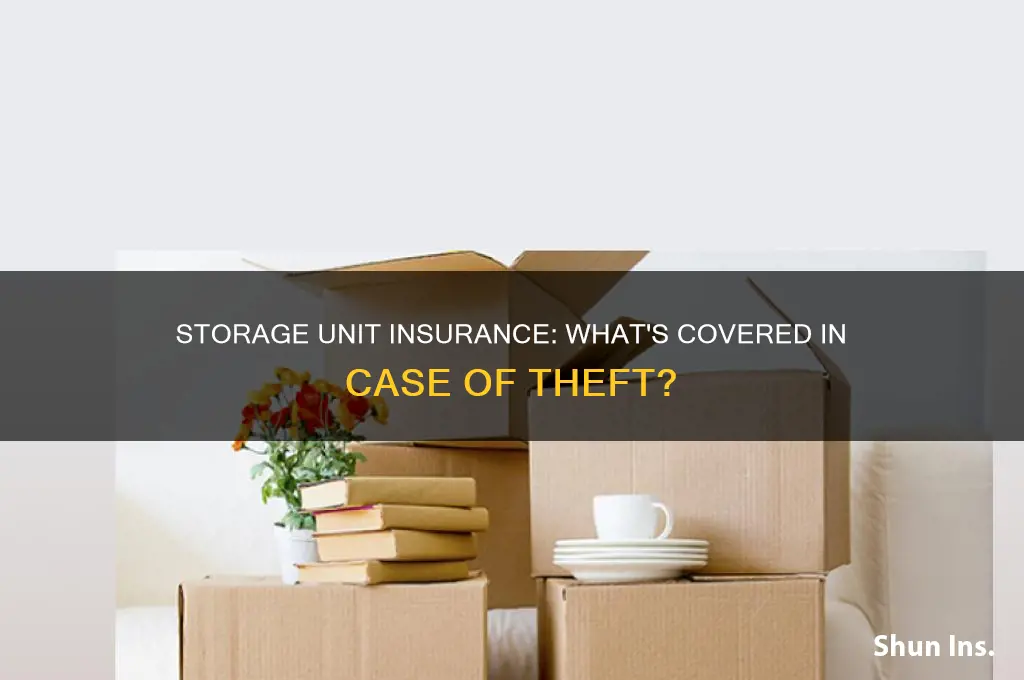 are storage units insured for theft