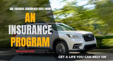 Subaru SUV Insurance Classification