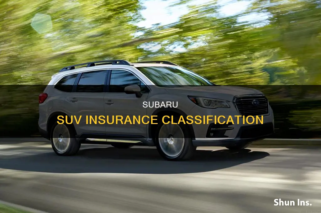 are subarus considered suvs from an insurance program