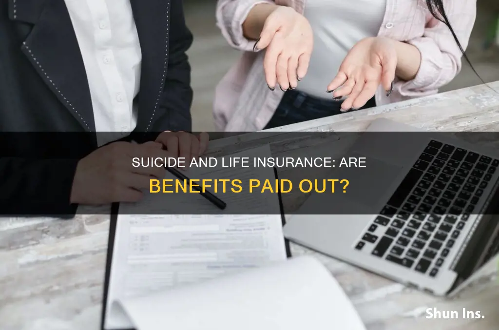 are suicide deaths paid out in life insurance