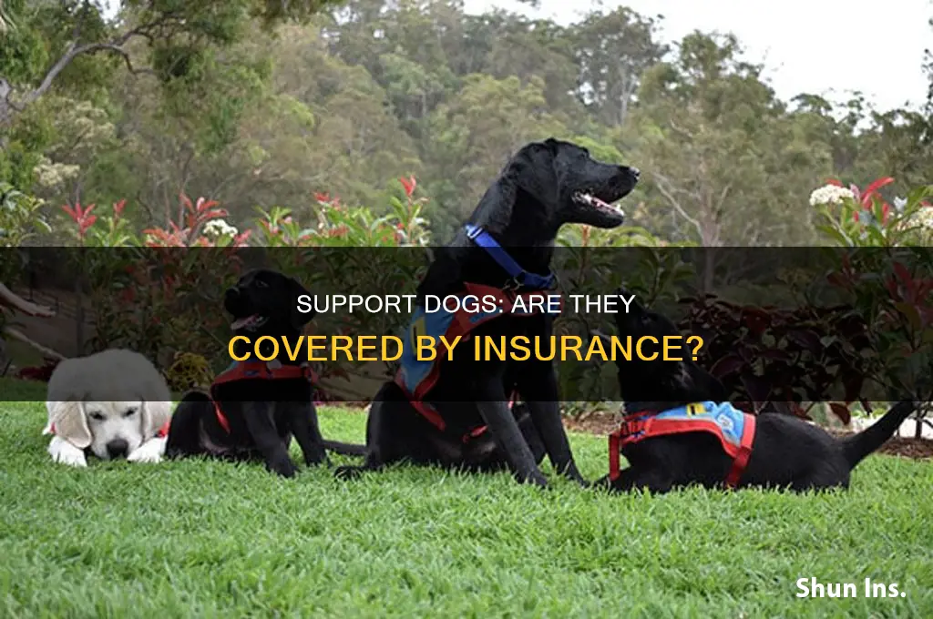 are support dogs insured