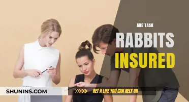 Are TaskRabbits Insured? Understanding TaskRabbit's Insurance Coverage