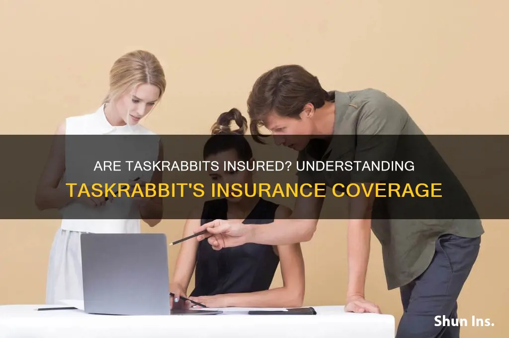are task rabbits insured
