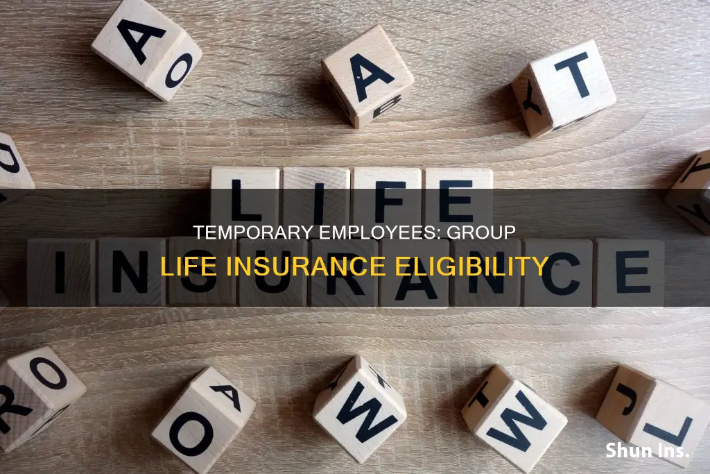 are temporary employees eligible for group life insurance