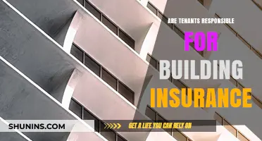 Tenant Responsibilities: Who Covers Building Insurance in Rental Agreements?