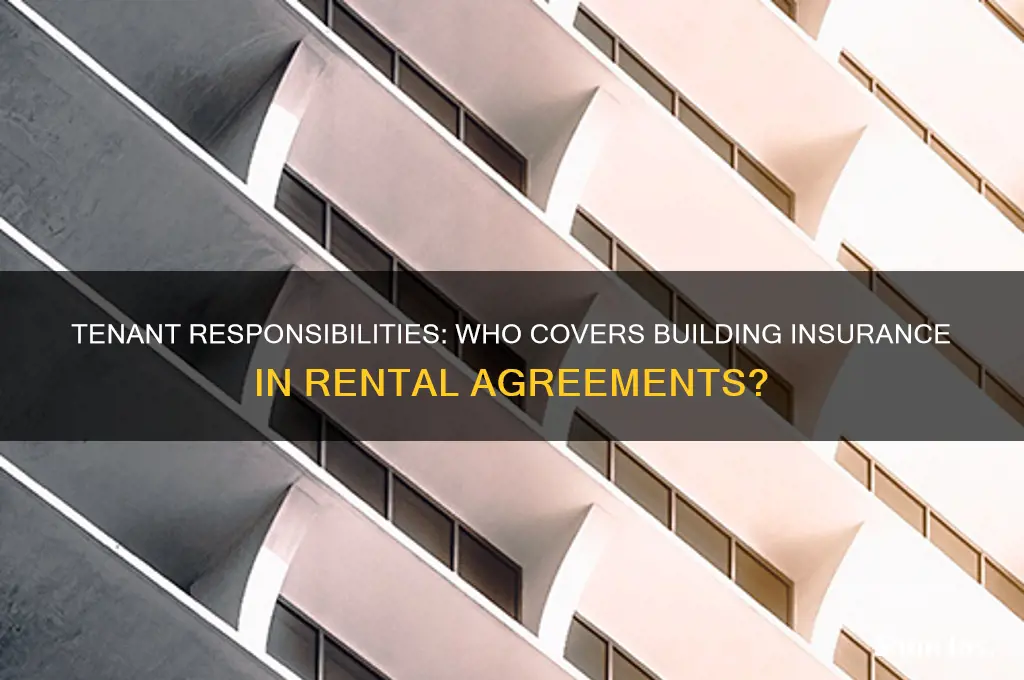 are tenants responsible for building insurance