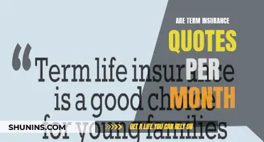 Understanding Term Insurance Quotes: A Monthly Breakdown