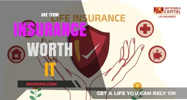 Term Insurance: Is It a Smart Investment?