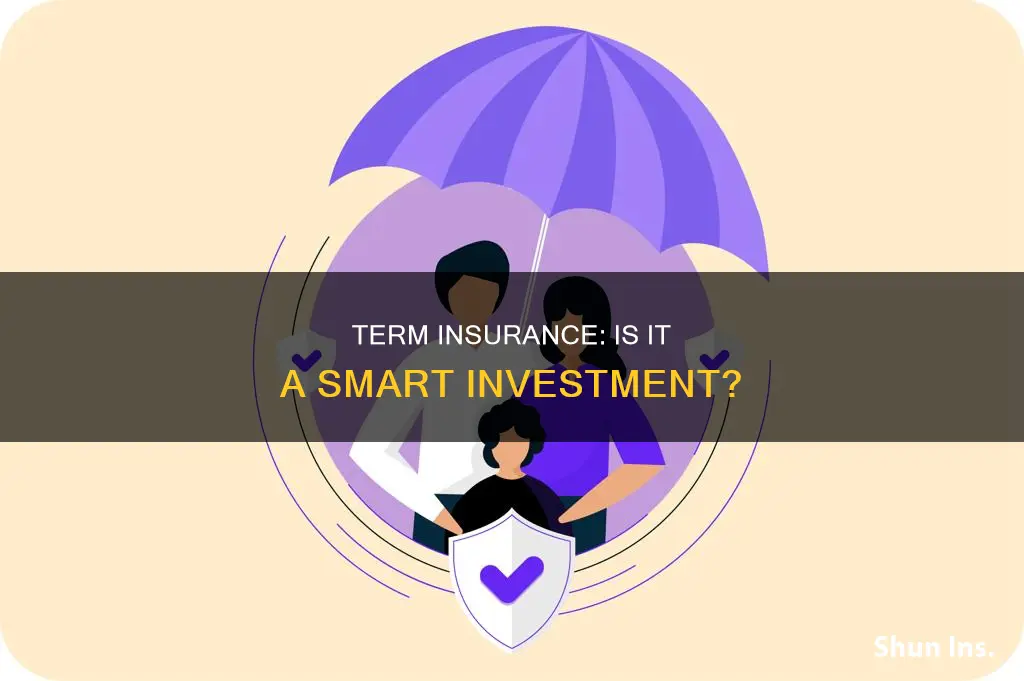 are term insurance worth it