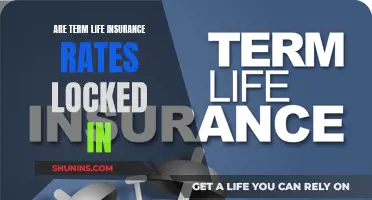 Term Life Insurance Rates: Locked or Variable?