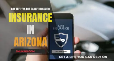 Cancelling Auto Insurance: Arizona Fees Explained