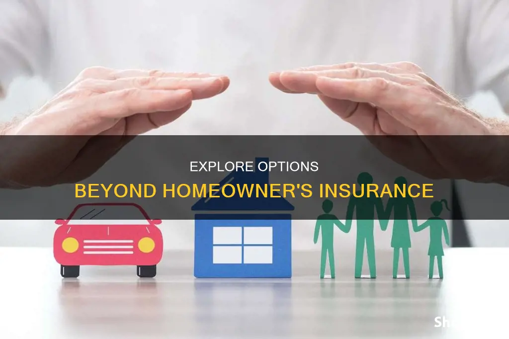 are there alternatives to homeowner