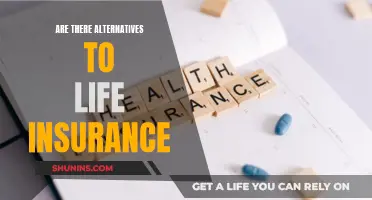 Life Insurance Alternatives: Exploring Other Options