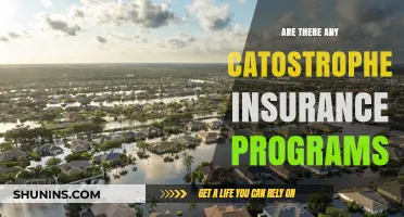 Catastrophe Insurance: What Programs Are Available?