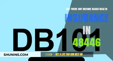 Income-Based Health Insurance Options in Michigan's 48446 Area