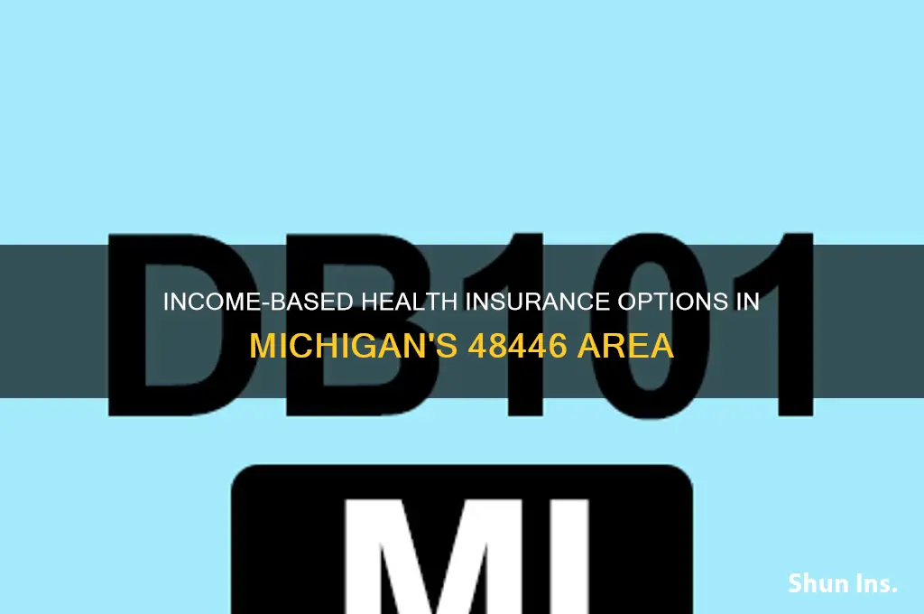 are there any income based health insurance in 48446