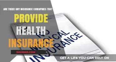 Exploring Insurers: Who Skips Health Insurance Coverage?
