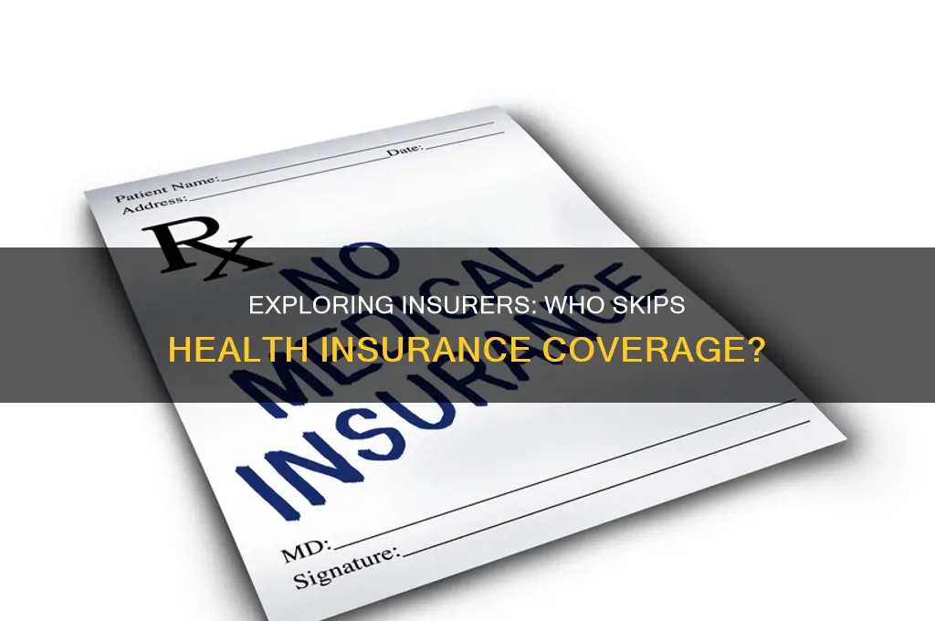 are there any insurance comapines that dont provide health insurance