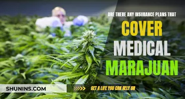 Medical Marijuana Insurance Coverage: What's the Deal?